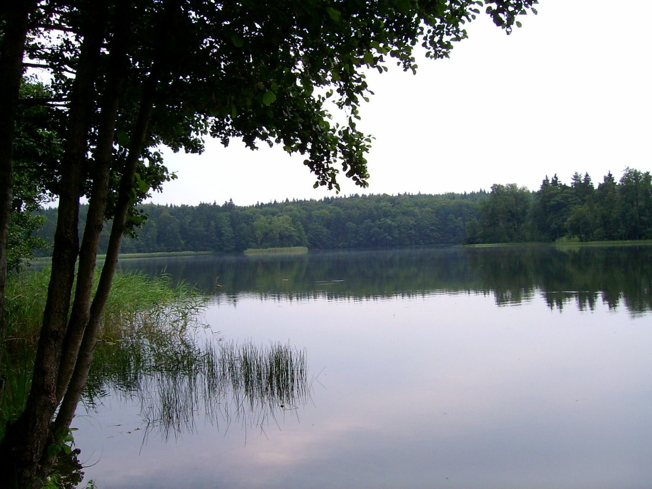 Grzybno: Asfalt w lesie, niepokój na plaży. Kontrowersje wokół nowej drogi nad Jeziorem Białym