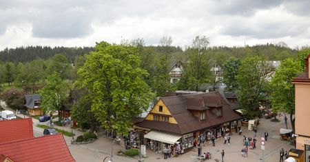 Zakopane. Stado łani spacerowało środkiem ulicy