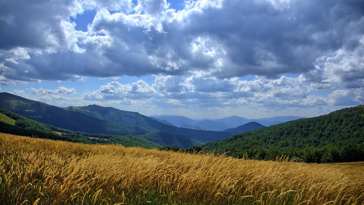 IMGW znów ostrzega przed burzami. Tym razem chodzi o rejon Bieszczad