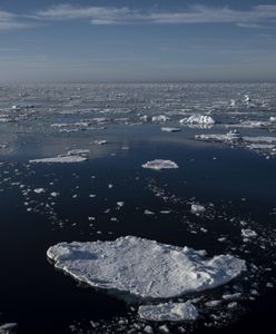 Alert w Kanadzie. Wyłowili to z wód Arktyki
