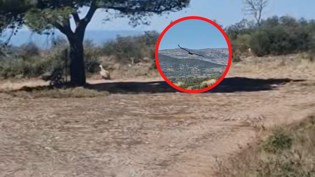 Polacy podzielili się nagraniem z Hiszpanii.