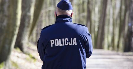 "Brakuje słów". Ktoś zabił i porzucił ciała psów myśliwskich