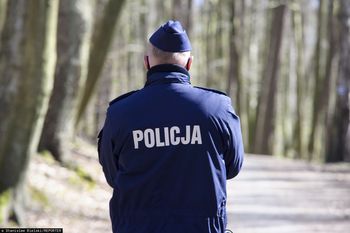 Tragiczne odkrycie w lesie. Policja bada sprawę zastrzelonych psów