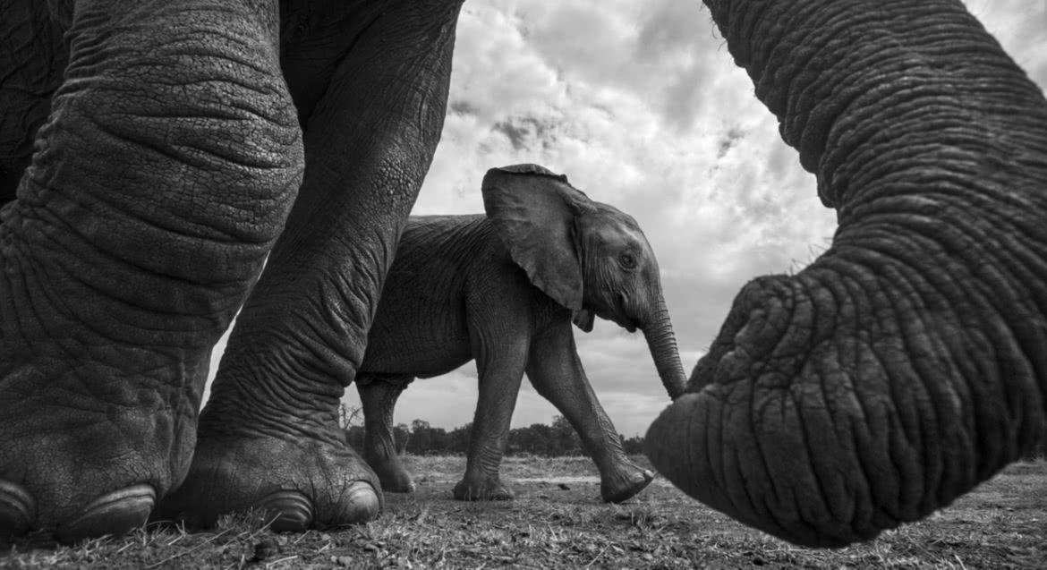 MonoVisions Photography Awards 2017. Polacy nagrodzeni wśród mistrzów fotografii czarno-białej 4