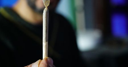 Bajzel w polskich aptekach trwa. Tak sprzedają medyczną marihuanę