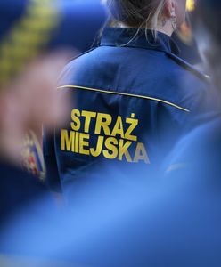 Poufne dokumenty znalezione nad Wisłą. Działania Straży Miejskiej