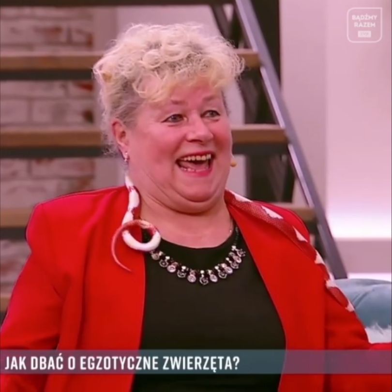 Fani oburzeniu zachowaniem Małgorzaty Tomaszewskiej podczas wizyty Haliny z "Sanatorium miłości" w "PnŚ".