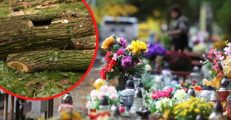 Nawałnica w Mostowlanach. Wiatr powalił zniszczył parafialny cmentarz