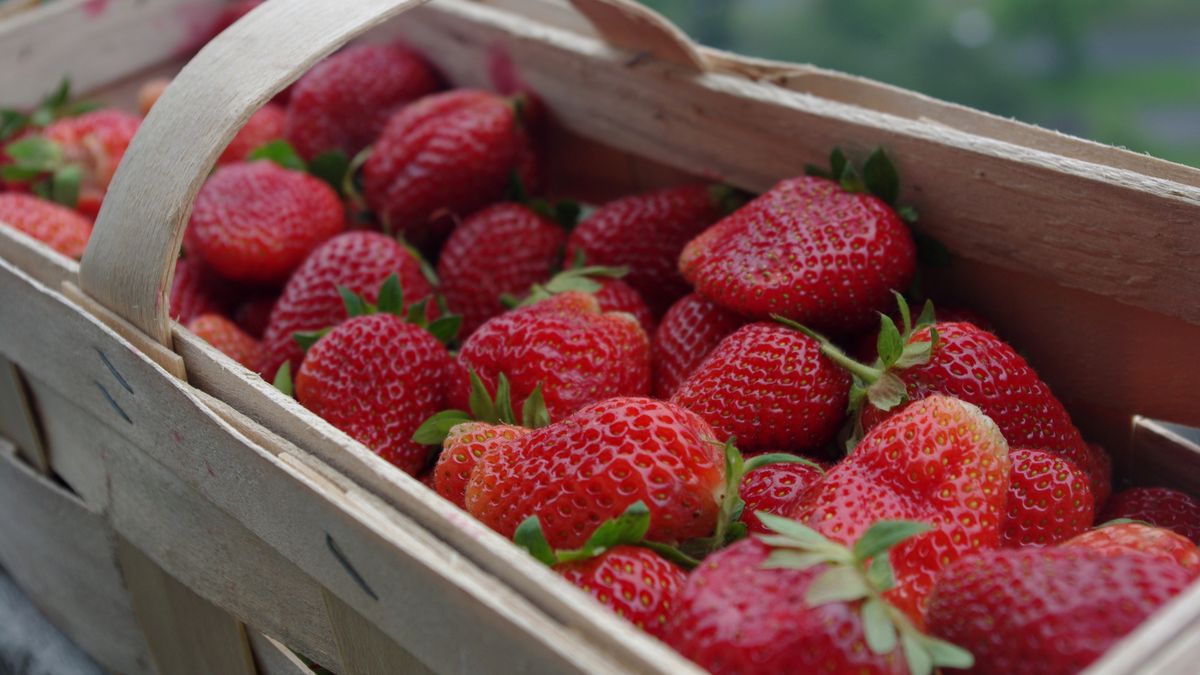 Truskawki mogą być droższe.