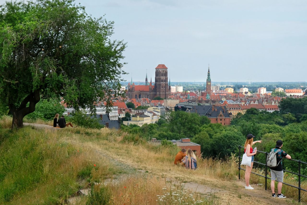 Góra Gradowa to świetny punkt widokowy na Gdańsk