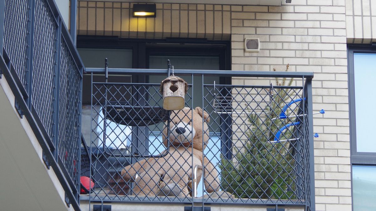 Pluszowe zabawki pomagają w zasypianiu i łagodzą stres u dorosłych