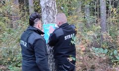 Dramatyczne krzyki przy granicy. To błąkają się krewni "zakładników Łukaszenki"