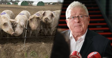 Skarżyli się na smród z chlewu. Jest wyrok. Minister: niespotykane