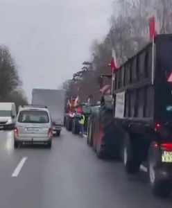 Kolumna ciągników pod Poznaniem. Prawie 500 pojazdów