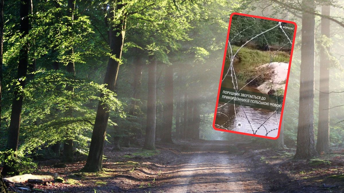 Chciał dostać się nielegalnie do Polski. Natrafił na ukraińską straż graniczną 