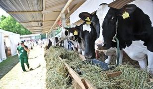 W tych sklepach kupisz produkty ekologiczne. Nowa moda czy zdrowy sposób na życie?