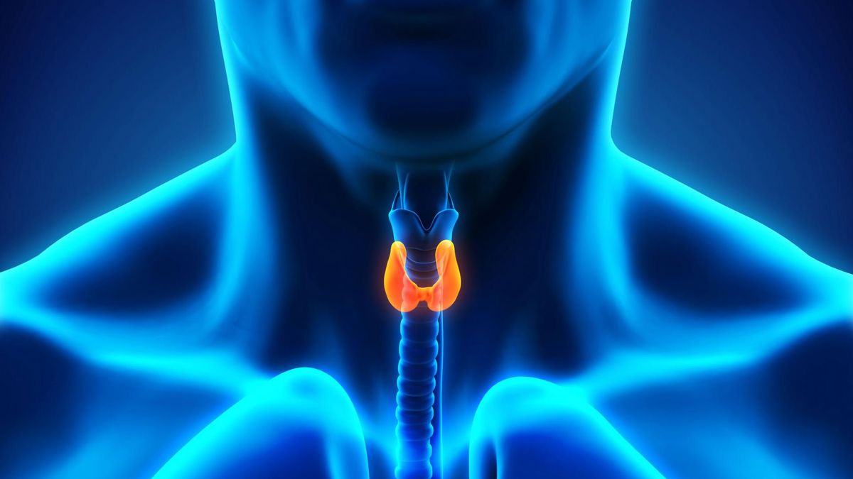 Przytarczyce – charakterystyka, zaburzenia, objawy, leczenie
