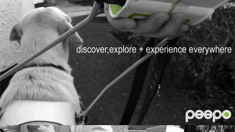 Pies dla niewidomych sterowany GPS'em 1