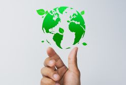 Biznes w służbie ekologii. Poznaj narzędzia, dzięki którym Twój e-commerce zarabia i wspiera eko rozwiązania