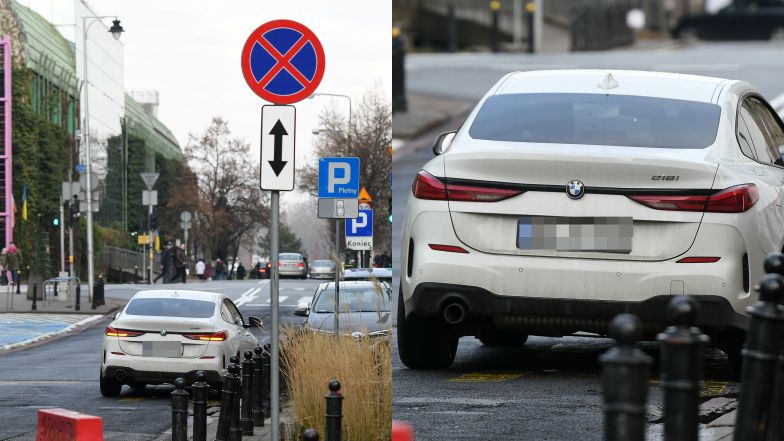 Magdalena Ogórek parkuje na zakazie