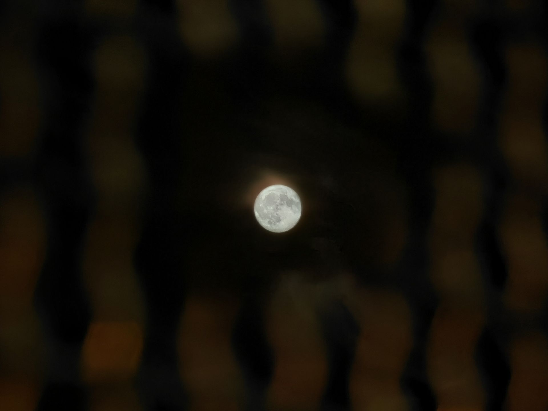 Huawei P60 Pro (10x)