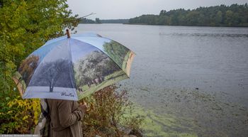 Spadnie deszcz. IMGW wydał ostrzeżenia