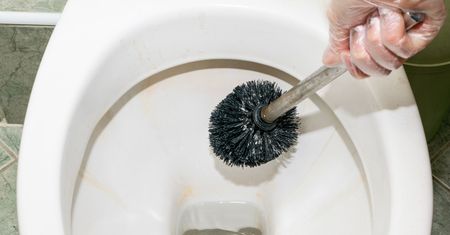 Wsyp do muszli. Toaleta będzie lśniła jak w hotelu
