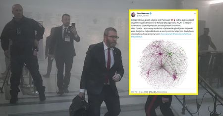 Trolle znikną z serwisu X? Niespodziewany skutek akcji Grzegorza Brauna