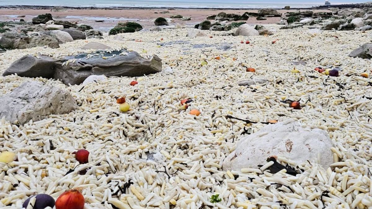 Plaża w East Sussex pod warstwą frytek i cebuli