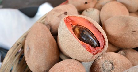 Surowa pouteria sapota (owoc)