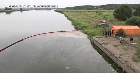 Władze instalują na Odrze zapory. Mają ułatwić zbieranie śniętych ryb