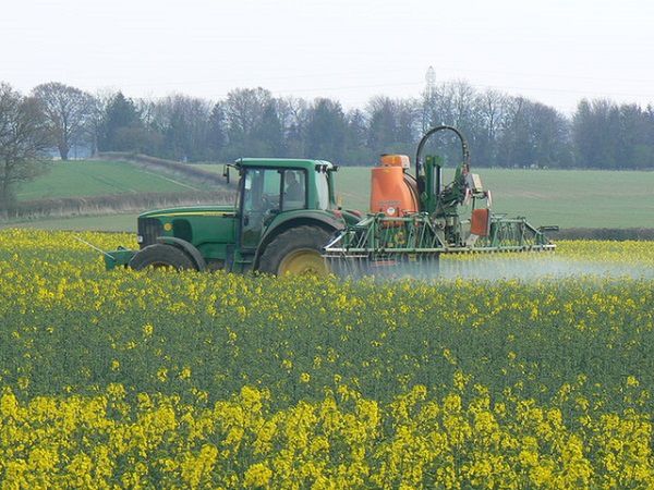 Opryski na chwasty - dowiedz się jak działają