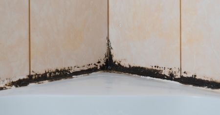 Wykorzystaj ten domowy sposób, a pleśń z fug zniknie raz-dwa