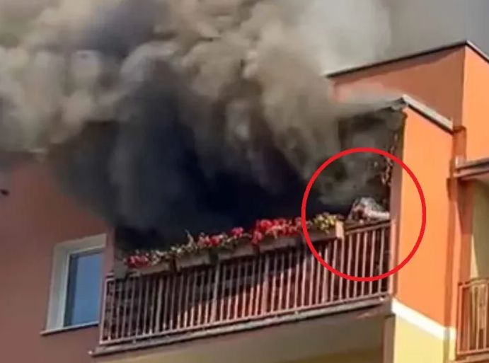 Z płonącego mieszkania wydobywał się czarny dym. Mężczyzna mógł tylko skoczyć z czwartego piętra