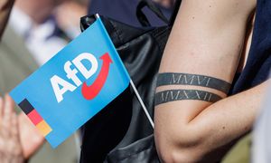 AfD rośnie w siłę. Socjolog wskazał kluczowy czynnik