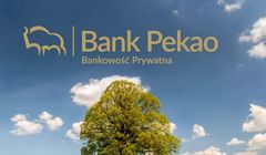 Startuje kampania i promocja ubezpieczeń komunikacyjnych od PZU i LINK4 w Banku Pekao