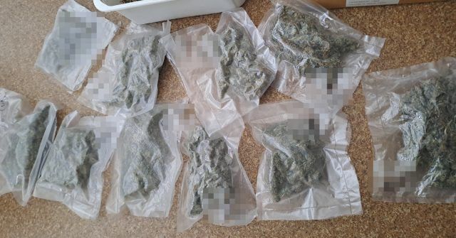 Włodawa: Zlikwidowana uprawa konopi. 37-latek w areszcie