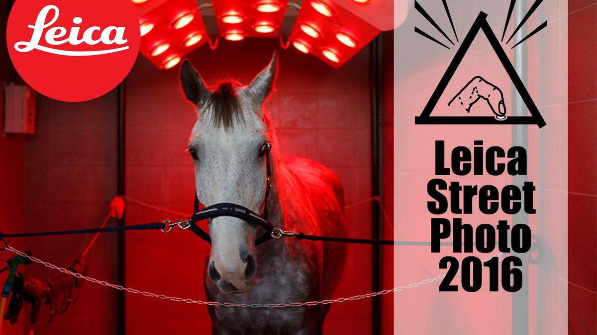 10 najlepszych zdjęć z Leica Street Photo 2016 1
