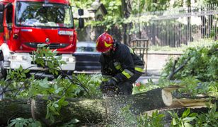 Trąba lądowa na Pomorzu. Jest nagranie