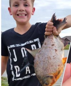 Ryba z zębami rozłupuje orzechy. Połów 11-latka z USA rozsierdził agencję ochrony przyrody