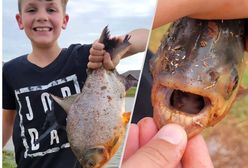 Ryba z zębami rozłupuje orzechy. Połów 11-latka z USA rozsierdził agencję ochrony przyrody