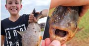 Ryba z zębami rozłupuje orzechy. Połów 11-latka z USA rozsierdził agencję ochrony przyrody