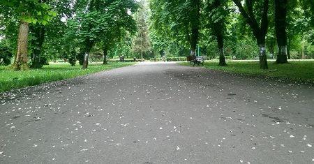 Miasto chcę odnowić jeden z parków. Ambitne pomysły na Park Ludowy