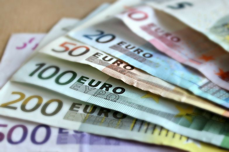 Kursy walut 16.02.2022. Środowy kurs funta, euro, dolara i franka szwajcarskiego