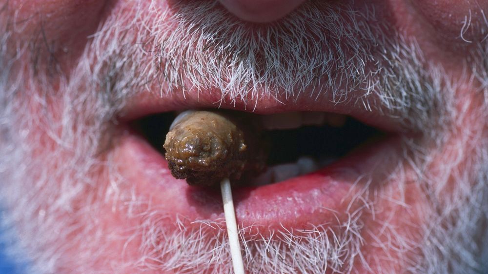 Egzotyczne potrawy mogą być niebezpieczne