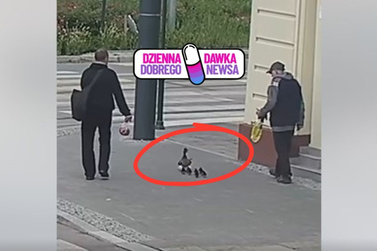 Nie mogli czekać. Potrzebna była eskorta. Wzruszająca akcja na ulicy