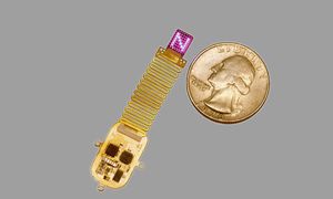 Światłem w mózg. W ten sposób chcą odzyskać zmysły