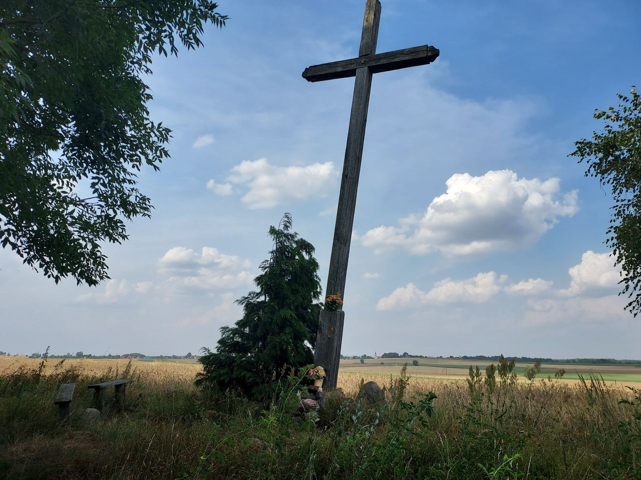 Zwłoki Aleksandry F. znaleziono na terenie kompleksu leśnego