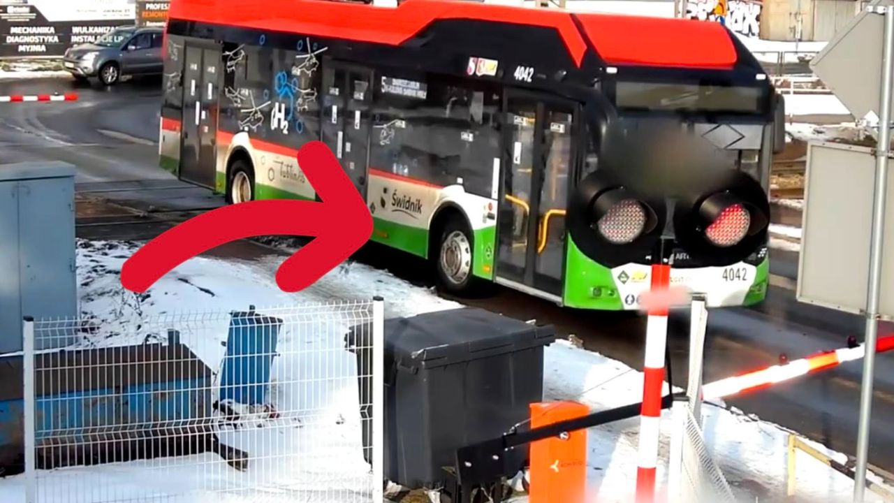 Sceny w Świdniku. Cała Polska zobaczy, co zrobił kierowca autobusu
