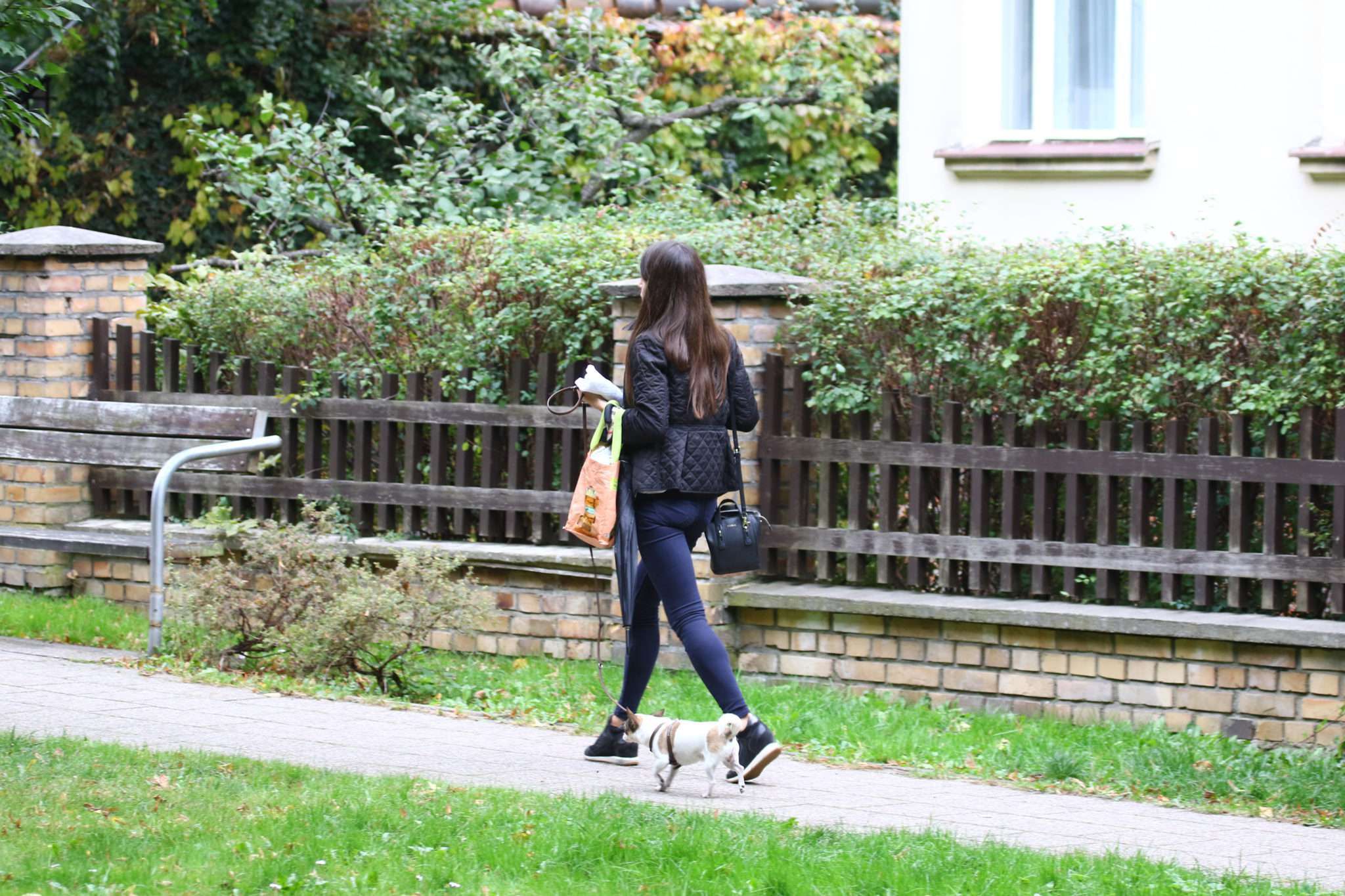 Marta Kaczyńska wyszła na spacer z psem